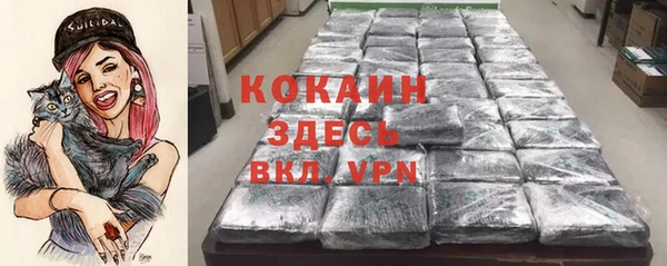 тгк Арсеньев