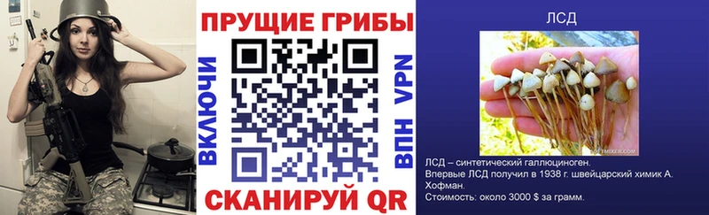 Галлюциногенные грибы ЛСД  Купить закладки  Озёрск 